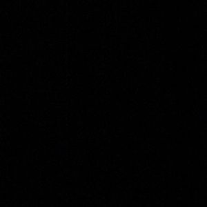 Meet your Posher, Rissa